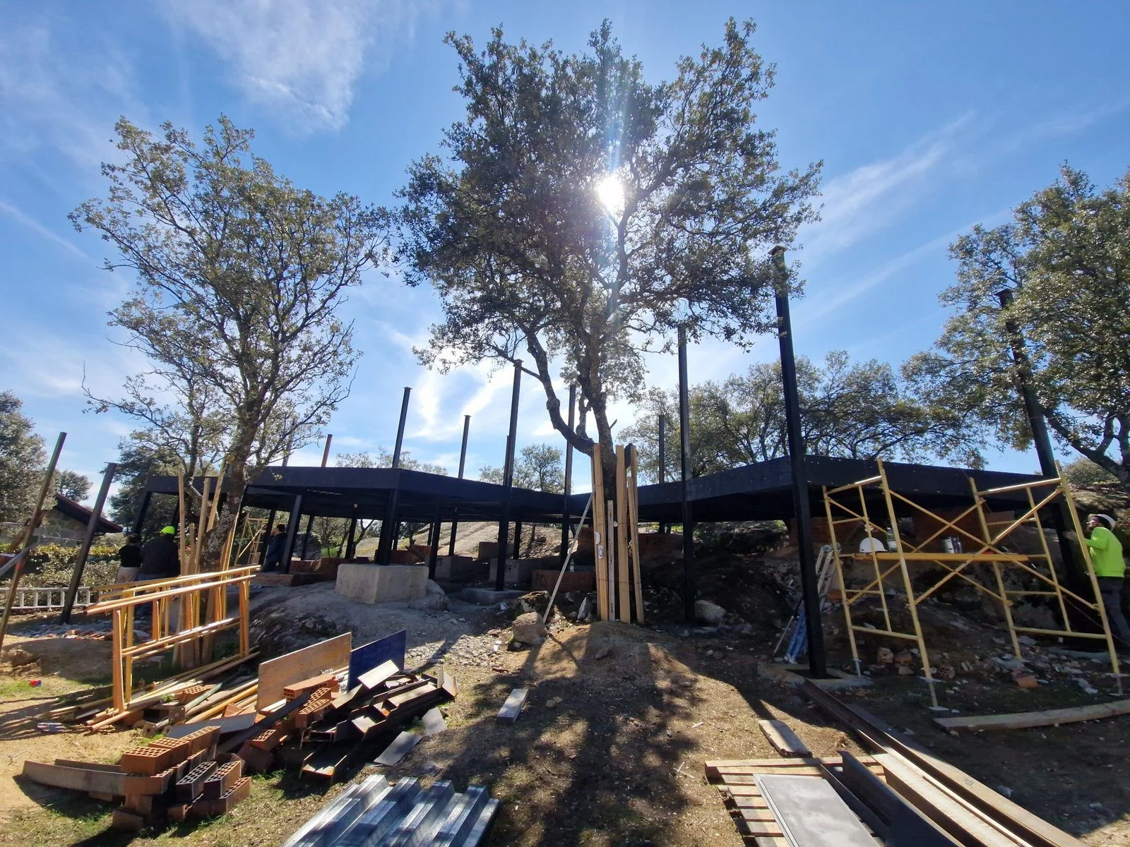 Esqueleto de acero de la vivienda unifamiliar construido respetando el arbolado maduro de la sierra de Madrid.